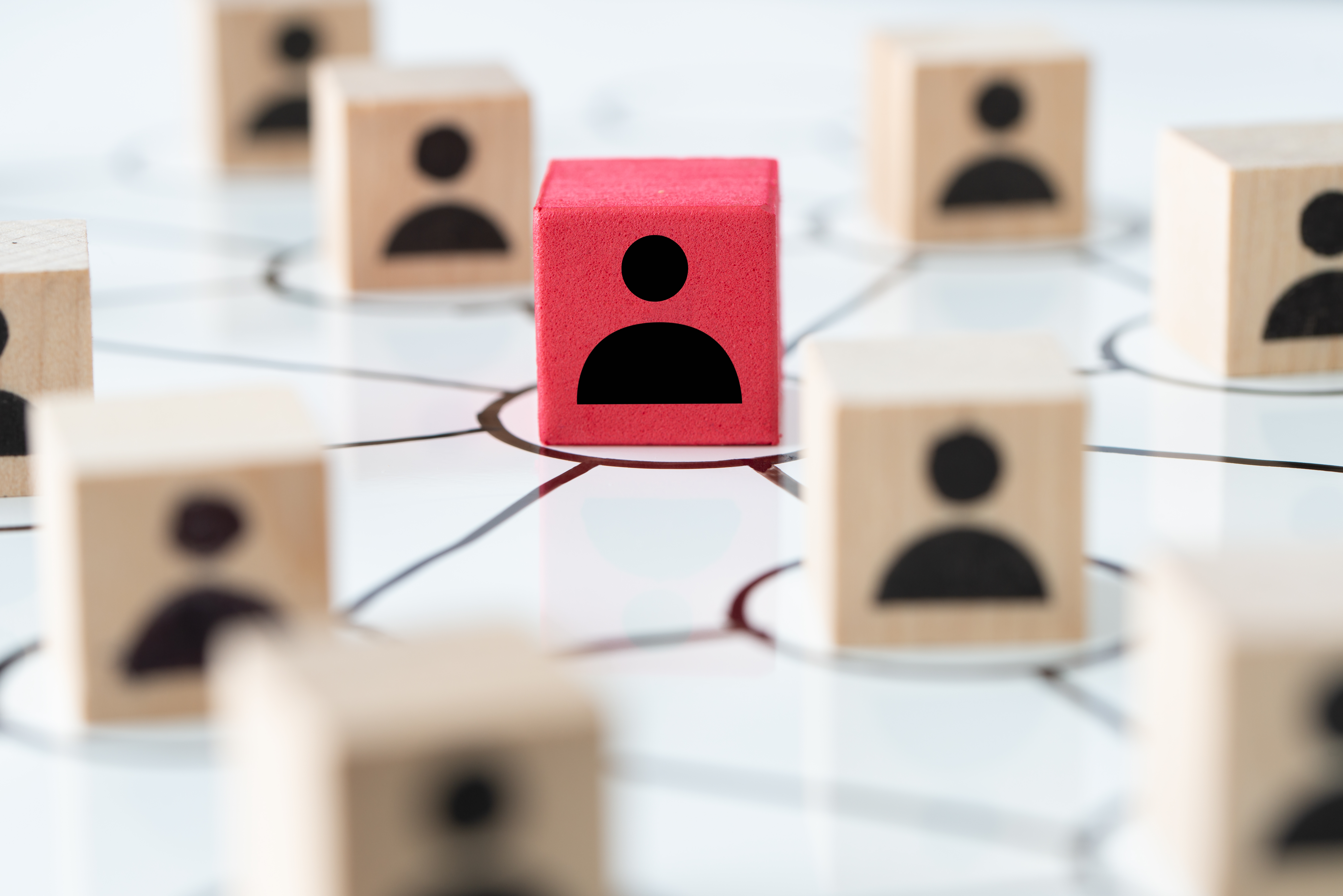 Individual Risk Profile